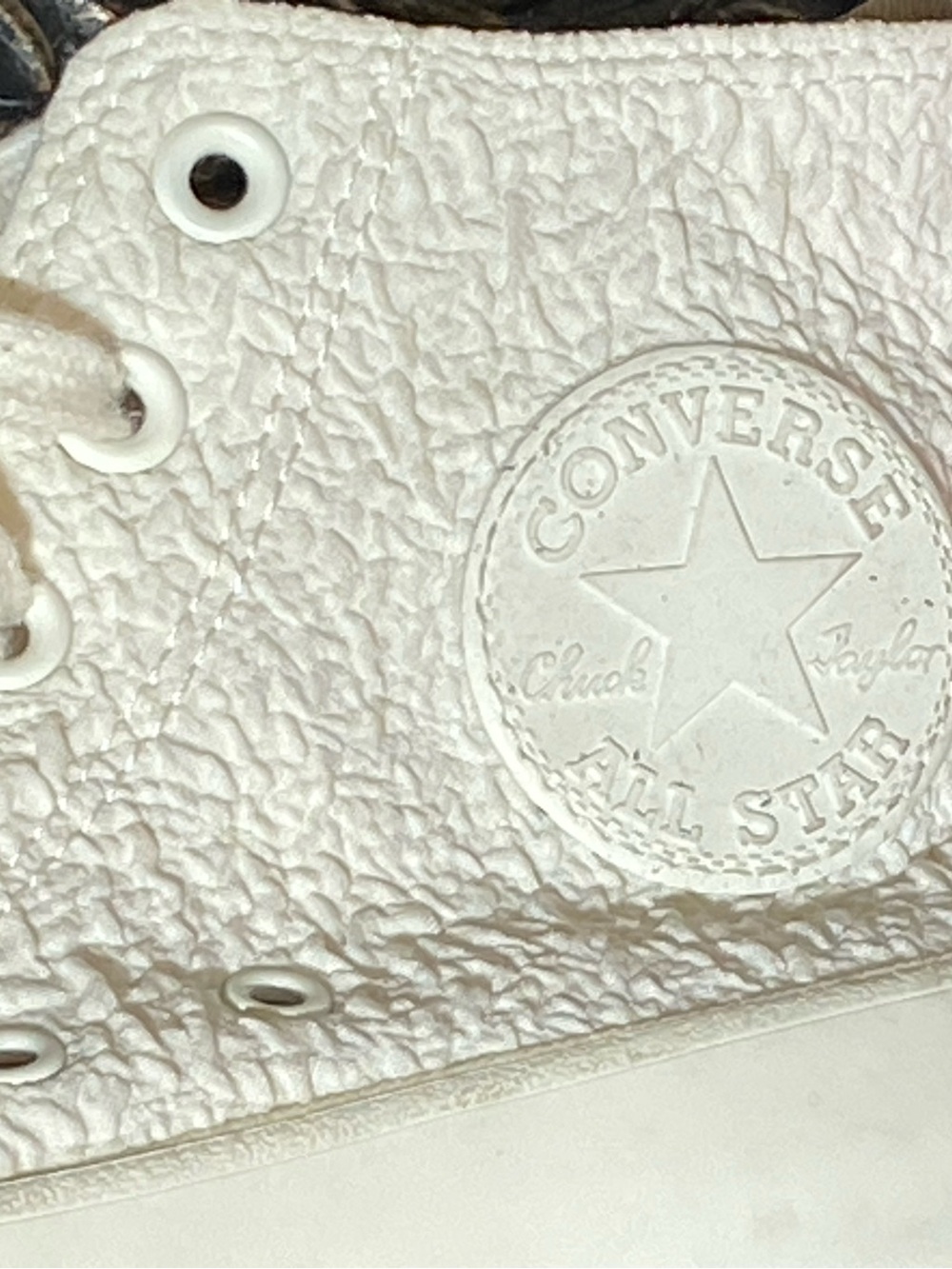 Converse Cream High-Top Canvas Sneakers - Picture 14 of 16